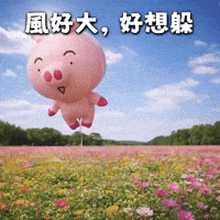 風大 GIF