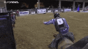 rodeo GIF by euronews