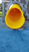 Siblings Have Different Methods Going Down Slide GIF by ViralHog
