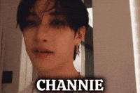 StayforChahn stray kids skz felix bang chan GIF