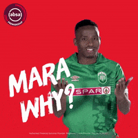 south african soccer GIF