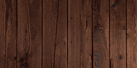 rawolf_in clothing raw divine rawolf GIF