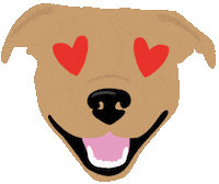 Pit Bull Heart Eyes Sticker by HeARTs Speak
