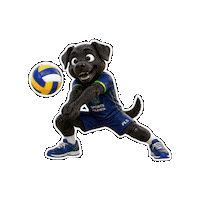 Volei Sticker by Colégio Américo Melo