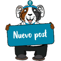 Nuevopost Cuy Sticker by Medical Audicion