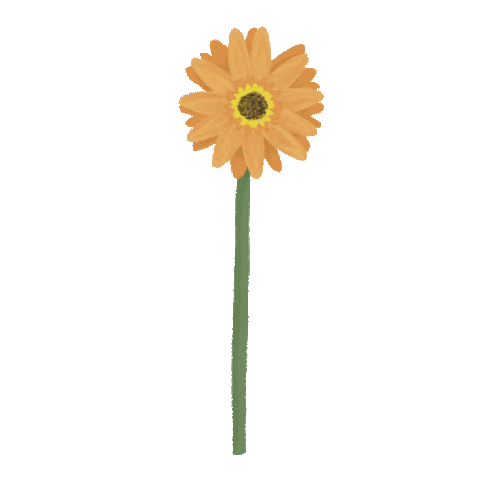 Virtual Bouquet Sticker by Hello Flowers！
