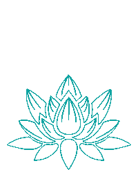 Collagen Moringa Sticker by Pure Within