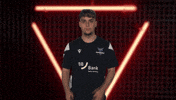 Karlsruher Sc Vbl GIF by Bundesliga