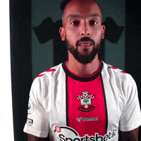 Premier League Football GIF by Southampton FC
