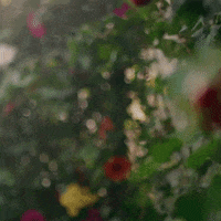 Party Cheers GIF by Absolut Vodka