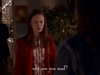 season 1 netflix GIF by Gilmore Girls 