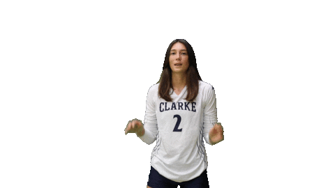 Womens Volleyball Heart Sticker by Clarke University