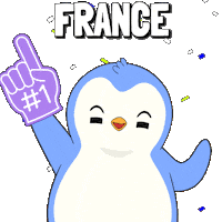 France Football Sticker by Pudgy Penguins