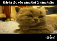 duong-gif9 GIF by Lozi Singapore Co.