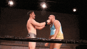 SHWAWrestling wrestling yas york suplex GIF