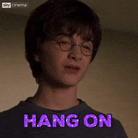Harry Potter Wtf GIF by Sky