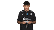 Tsg Hoffenheim Fly Sticker by Bundesliga