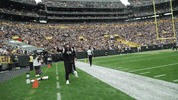 National Football League GIF by New York Jets