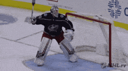 angry ice hockey GIF by NHL