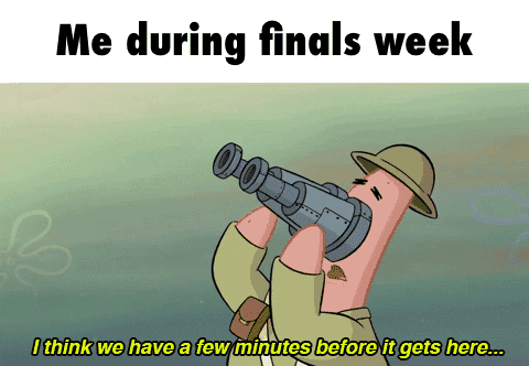 finals week GIF