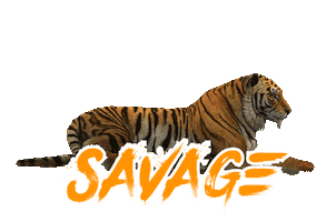 College Basketball Sticker by ESPN