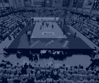 Sport Bear GIF by SSCPalmbergSchwerin