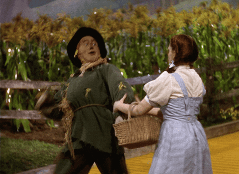 Wizard Of Oz Mgm GIF by Coolidge Corner Theatre