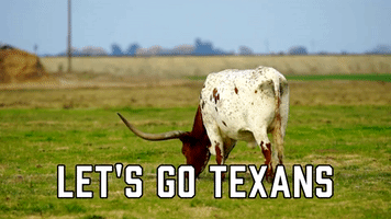 Let's Go Texans