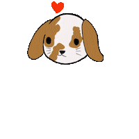perritofrito pua whiterabbit belier rabbitlove Sticker
