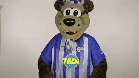 Pray Hertha Berlin GIF by Hertha BSC