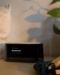 Loftie loftie GIF