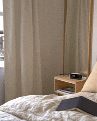 Loftie loftie GIF