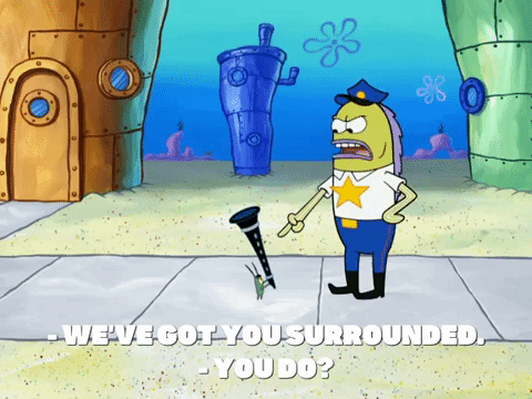season 8 episode 6 GIF by SpongeBob SquarePants