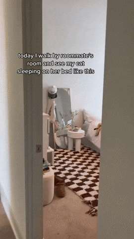 cuteanimalland giphyupload GIF