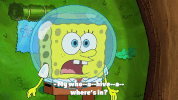 season 9 episode 24 GIF by SpongeBob SquarePants