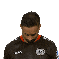 Bayer 04 Hello Sticker by Bundesliga