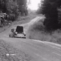 No Problem Idc GIF by FIA World Rally Championship