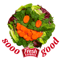 FreshExpress so good express yourself fresh express Sticker