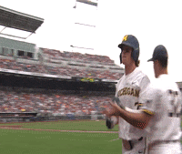 michigan baseball franklin GIF by Michigan Athletics