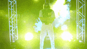 college baseball cws GIF by NCAA Championships