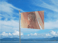 Flag Danmei GIF