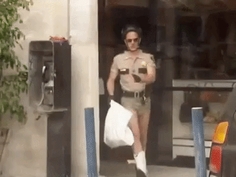 reno 911 gay GIF