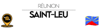 Reunion Sticker by NoirNomads