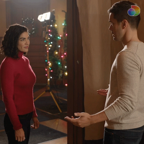 Christmas Agree GIF by discovery+