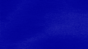 Americanidiot GIF by Jeopardy!
