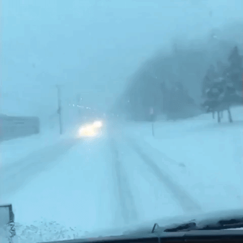 Snow Affects Driving Conditions in Detroit