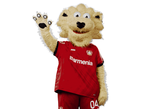 Bayer 04 Hello GIF by Bayer 04 Leverkusen