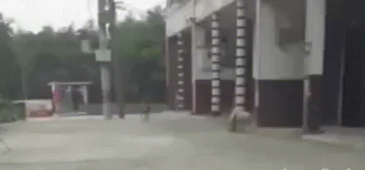run perfect loops GIF