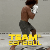 Mma GIF by Sanabul