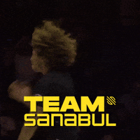 Mma GIF by Sanabul